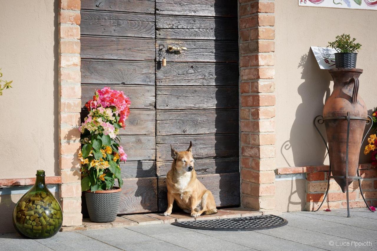 Agriturismo Cascina Sciulun Monforte D'Alba Eksteriør billede